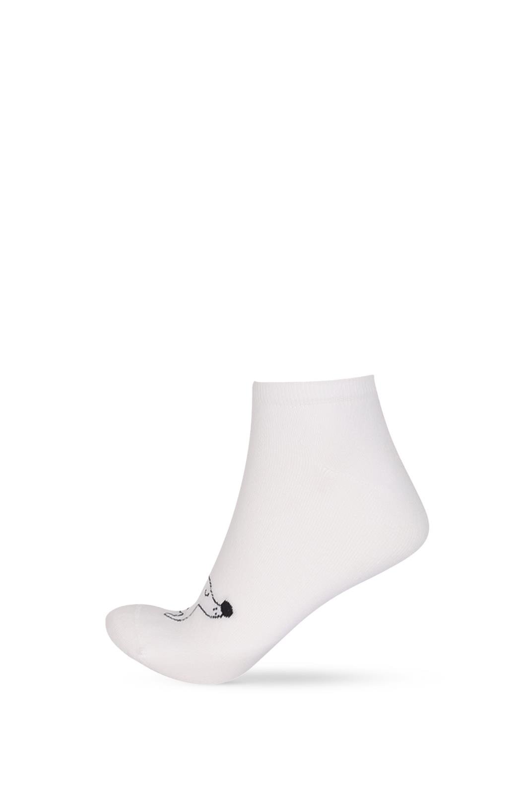 Women's Dog Patterned Step Socks 3-Pack