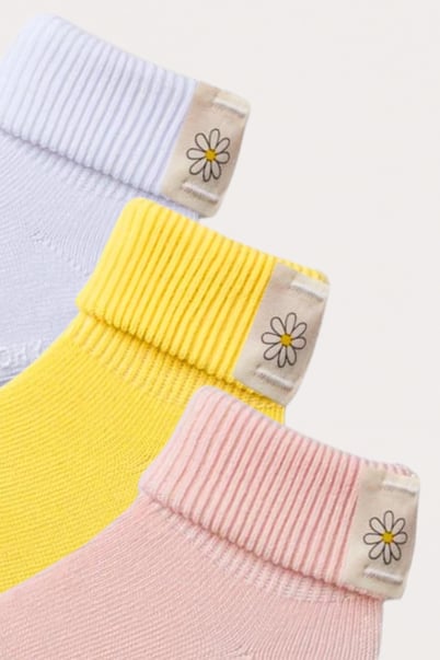 Bee Basic Daisy Bootie Socks Boxed 3-pack