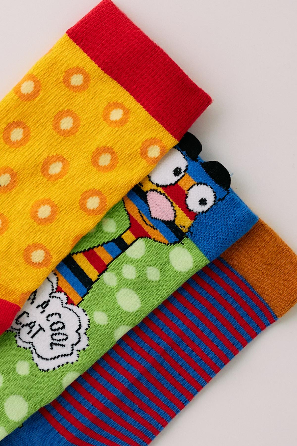 Rooster Socket Socks 3-Pack Boxed